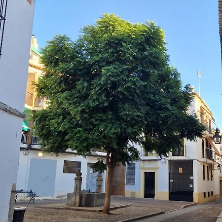 Terraza De La Axerquia Apartment Kordoba Bagian luar foto