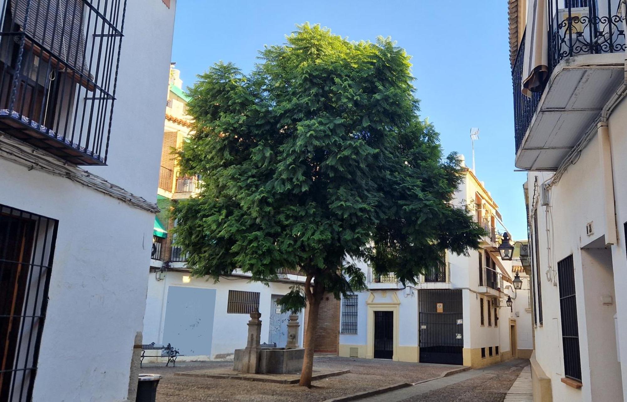 Terraza De La Axerquia Apartment Kordoba Bagian luar foto